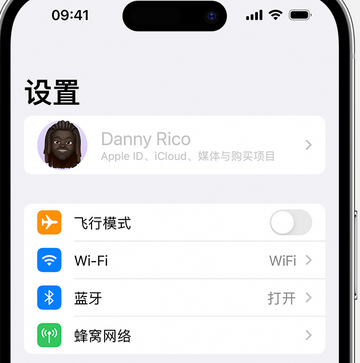 沭阳appleID维修服务iPhone设置中Apple ID显示为灰色无法使用 