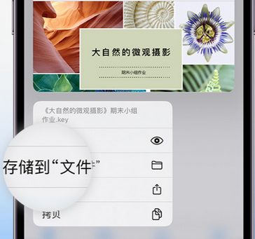 沭阳apple维修中心分享iPhone文件应用中存储和找到下载文件