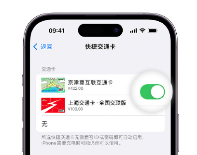 沭阳apple维修点分享iPhone上更换Apple Pay快捷交通卡手绘卡面 