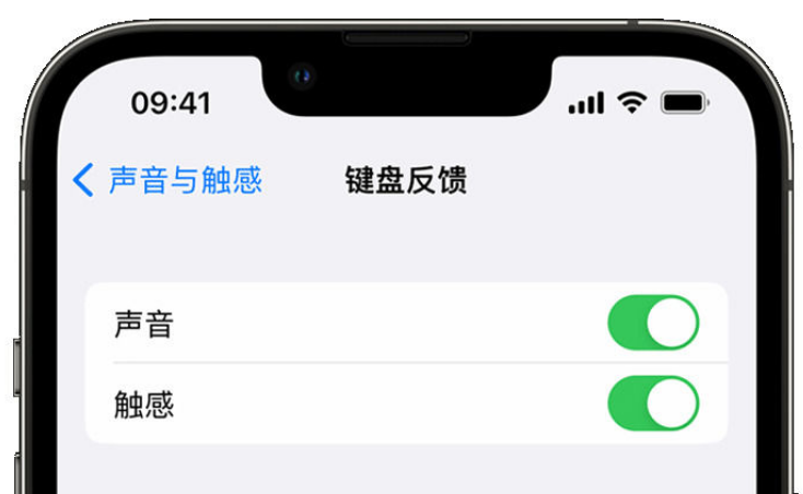 沭阳苹果手机维修分享iPhone 14触感键盘使用方法 