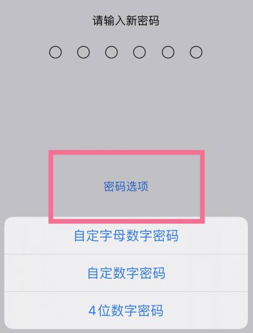 沭阳苹果14维修分享iPhone 14plus设置密码的方法 