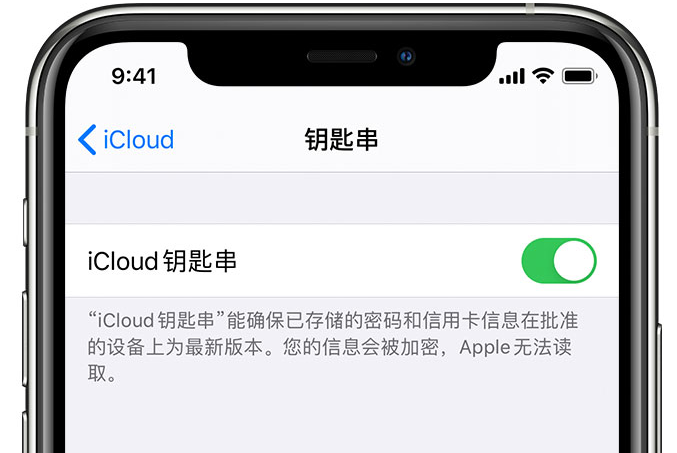 沭阳苹果手机维修分享在 iPhone 上开启 iCloud 钥匙串之后会储存哪些信息 