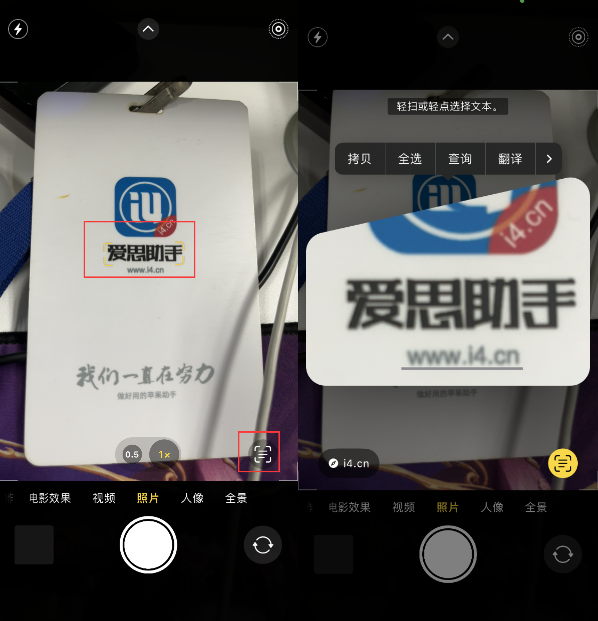 沭阳苹果手机维修分享升级iOS 16后如何通过相机翻译文本 