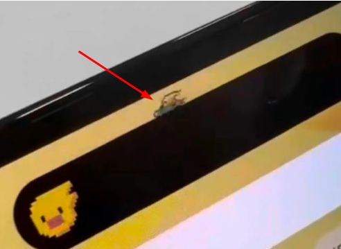沭阳苹果14维修分享iPhone 14 Pro Max灵动岛怎么养宠物 