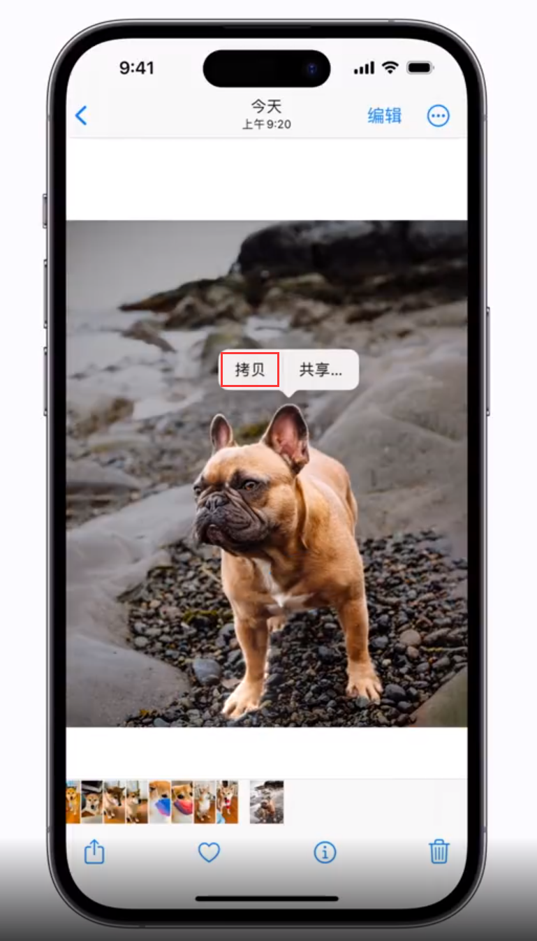 沭阳苹果手机维修分享 iOS 16 自带一键抠图功能 