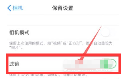 沭阳苹果13维修分享iPhone13拍照有绿点是怎么回事 
